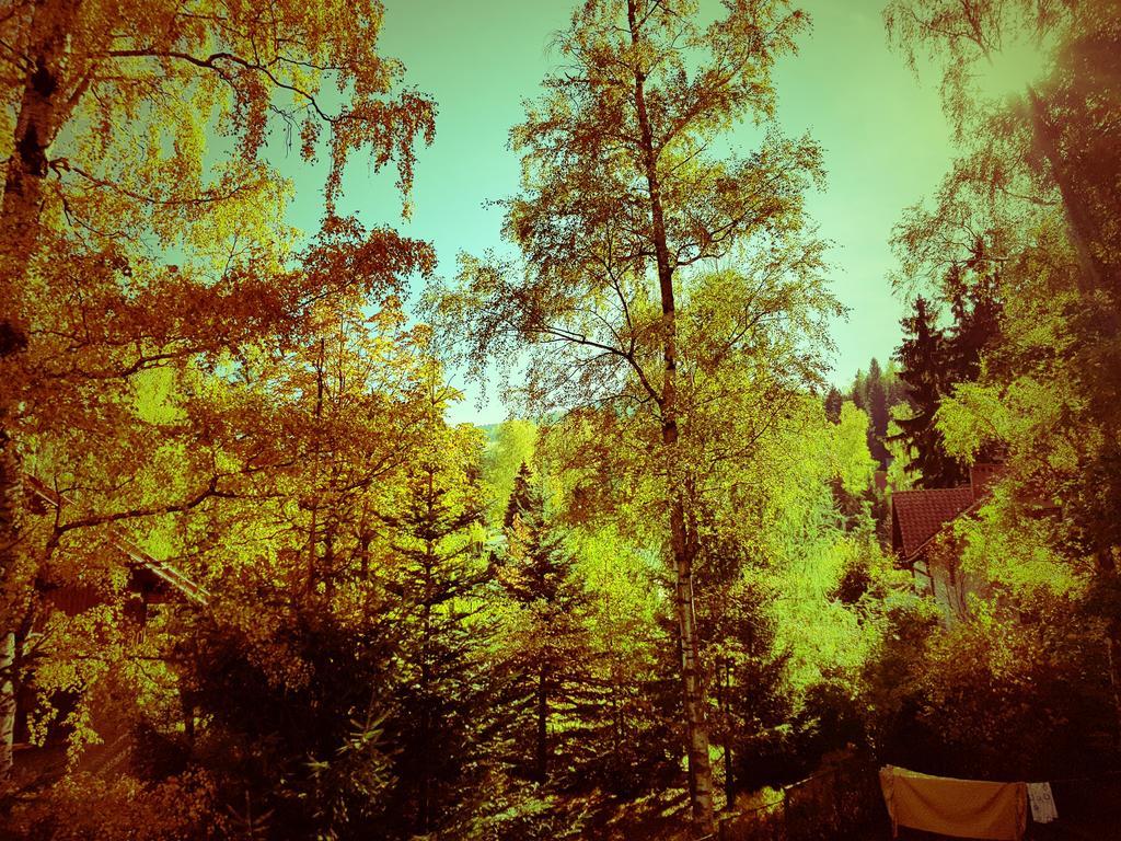 Janosik Homestay Karpacz