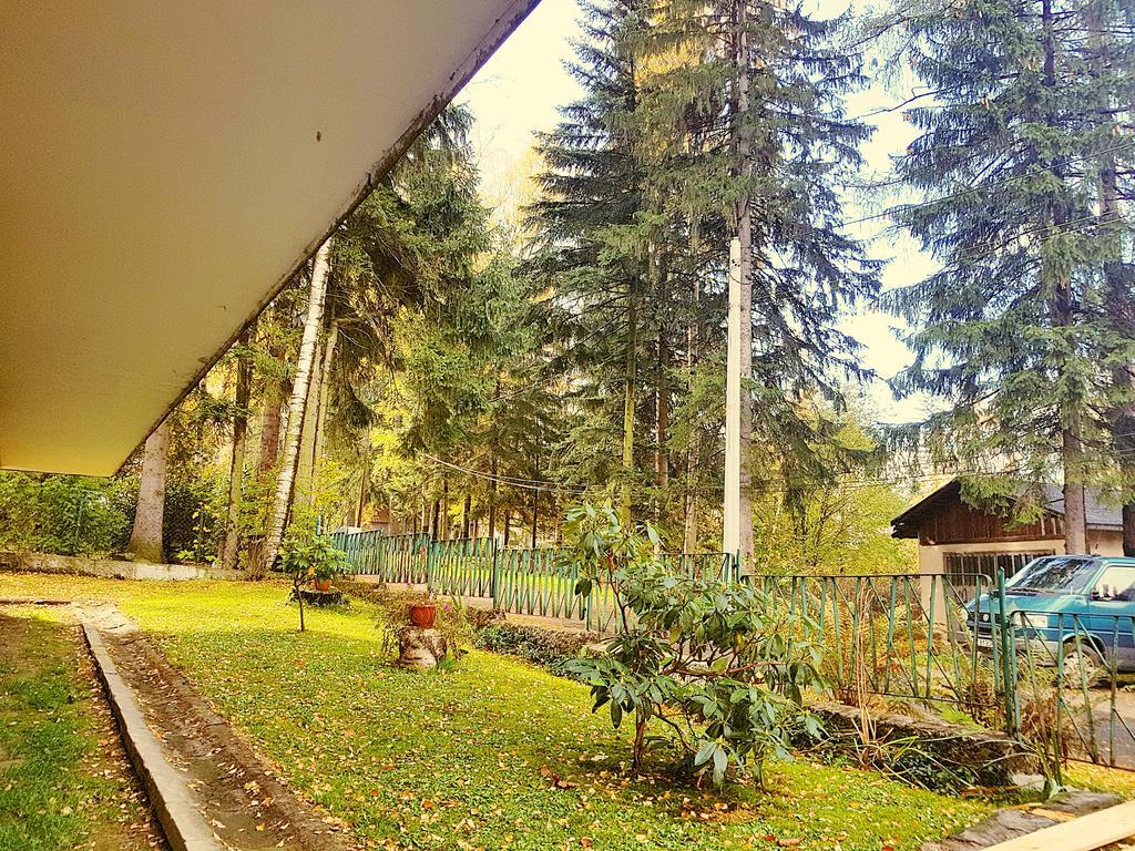 Homestay Janosik